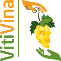 VitiVina.fr